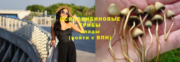 мет Баксан